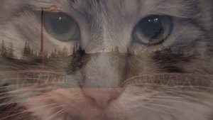 Колыбельная для сына 'За печкою поет сверчок' Lullaby about Сricket