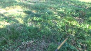 Самый доступный и достаточно мощный лук для охоты.