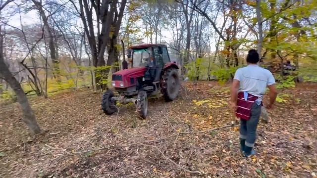 Тракторы в Лесу (Полный Часть)