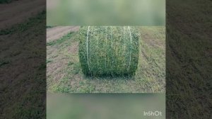 Рулонный пресс Vicon rv 157 ременный. сезон 2021