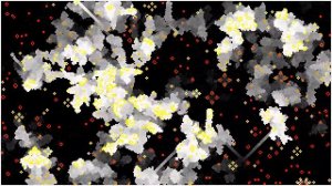 Colour-coded Conway's game of life in Processing