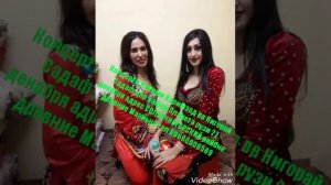 Карими Каримзод дар кафей Планета рузи 22 декабря адрес Солнечногорск районе древние Мариьно