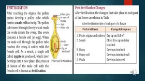 Class 6, Biology, Chapter 2 Plant Life The Flowers by Sangeeta Sharma