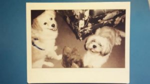 My Instax 210 pictures