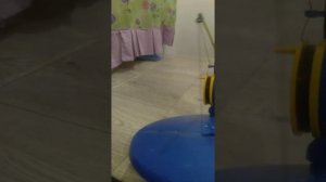 Самоподсекающая жерлица- донка