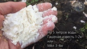 Срочно нанесите это на Все Плодовые Деревья Осенью! Защитите Яблони от солнца! Лучший рецепт побелк