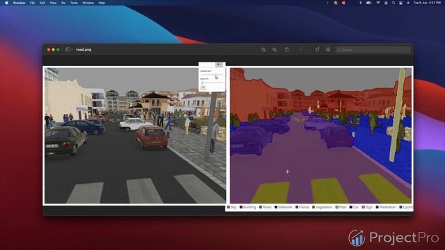 Medical Image Segmentation Deep Learning Project - Problem definition