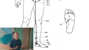 Канал Почек