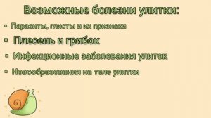Чем болеют улитки? | Про болезни улиток и как их лечить | Snails for you