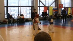 Соревнование по ашихара-каратэ