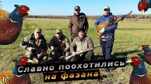 Охота на фазана в октябре 2022