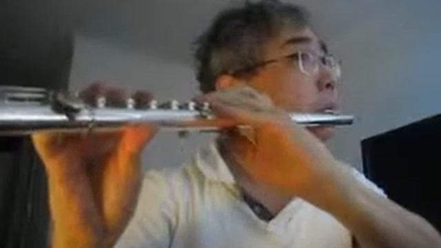 찬송가 Hymn - 392 장 - 예수의 이름 힘입어서 - Muramatsu Silver Flute AD