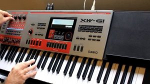Casio XW-P1 XW-G1 Moog Inspired Set
