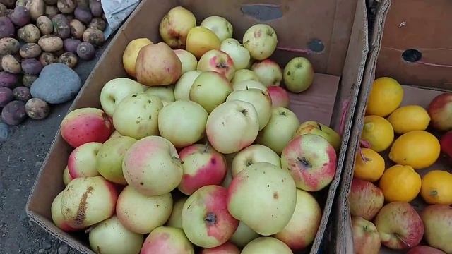 Нарх новои Хураквори ва Гайра / Пиёз / Картошка / Сабзи / Тарбуз / Себ / Анор / 16 декабря 2020 г. смотреть онлайн