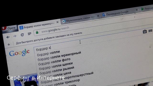 Дейси выполняет трюки смотреть онлайн