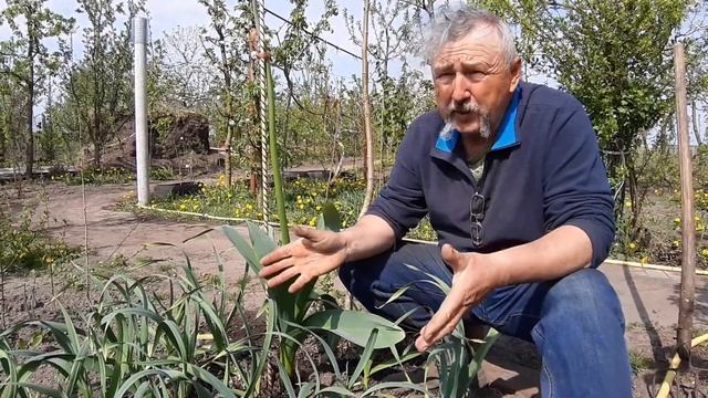 Что такое сухой полив смотреть онлайн