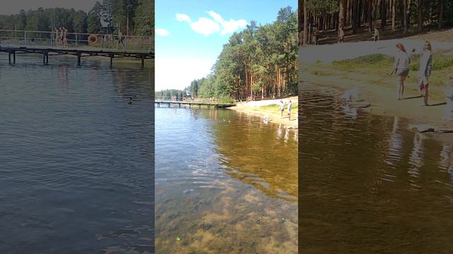 дальние дачи. Челябинск Пасхаля Вивария от 28.07.2023 смотреть онлайн