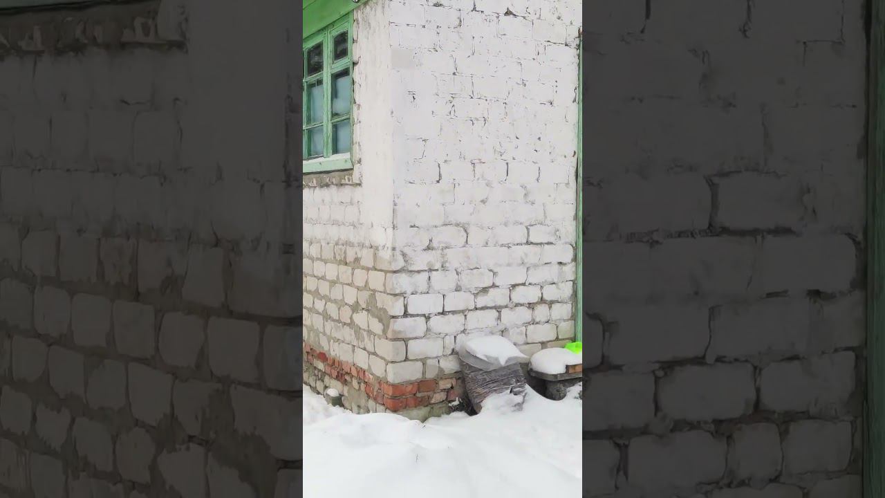 Купил дачу. Что дальше делать? #дача #дачныйдневник #дачнаяжизнь #дачныйдом #стройка #ремонт