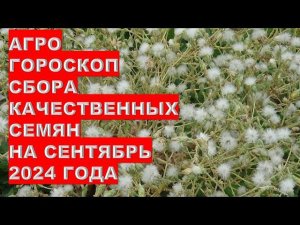 Агрогороскоп сбора качественных семян в сентябре 2024Agrohoroscope for collecting quality seeds in S