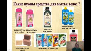 Уход за волосами Урок СБО 6 г