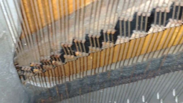 Компактное пианино Ferd. Manthey | Обзор после привозки смотреть онлайн