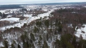 Где старые деревья?  Факты из истории и разоблачение.