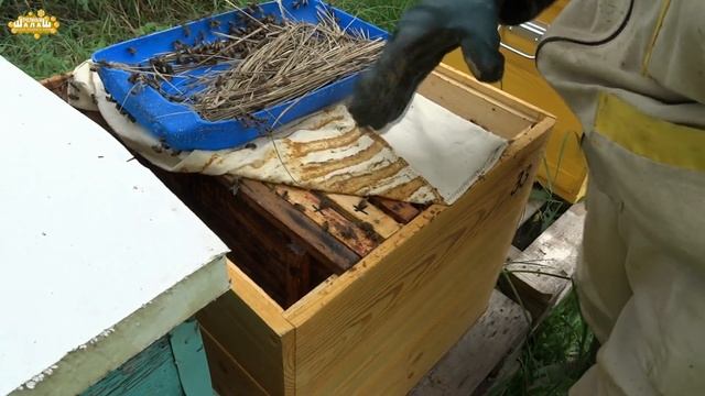 КОРМУШКИ ДЛЯ ПЧЁЛ СВОИМИ РУКАМИ ИЗ ПЛАСТИКОВОЙ БУТЫЛКИ И ВЁДЕР. ДЁШЕВО И СЕРДИТО. смотреть онлайн