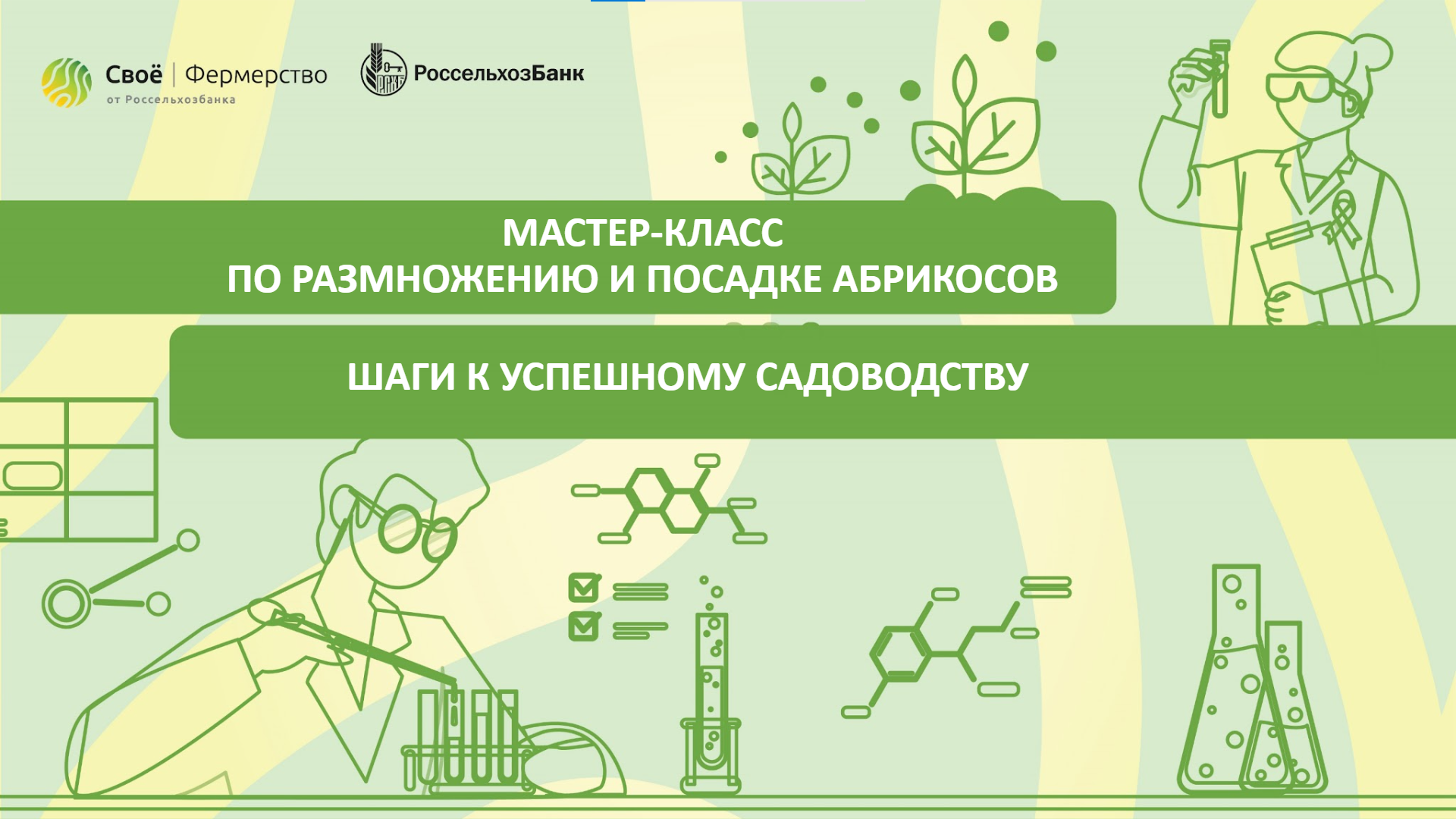 Мастер-класс по размножению и посадке абрикосов: шаги к успешному садоводству