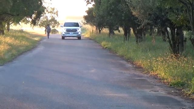 2016 TOYOTA LAND CRUISER 200 ランドクルーザー２００ смотреть онлайн