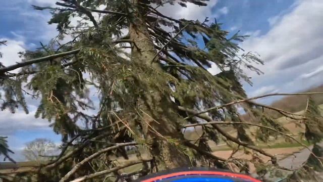 Арбористика | Удалили две ёлки рядом с крышей, пилили так, чтобы все осталось цело и невредимо смотреть онлайн