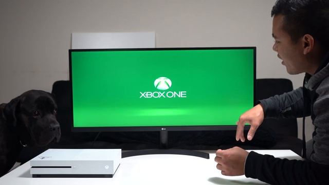 LG Ultrawide Monitor ~ Unboixing ~ Setup ~ Impression ~ 34WL500 смотреть онлайн