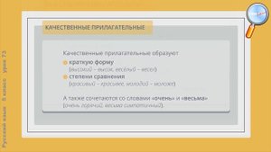 Русский язык 5 класс (Урок№73 - Имя прилагательное как часть речи. Гласные в окончаниях.)