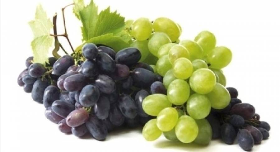 Свежий виноград из банки, зимние фрукты
