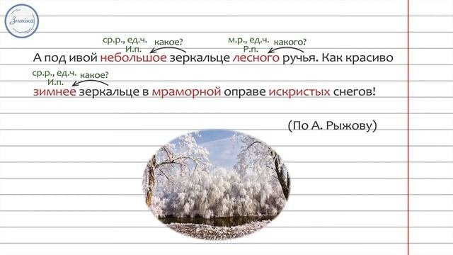 Изменение прилагательных