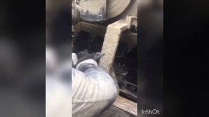 Хово howo евро 2 замена головки блока.Часть 1