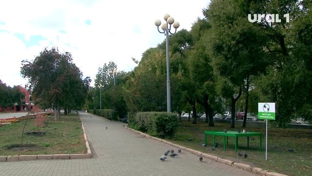 В Челябинске начали устанавливать площадки для кормления голубей смотреть онлайн