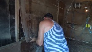 Мыши съели утеплитель. Что делать?