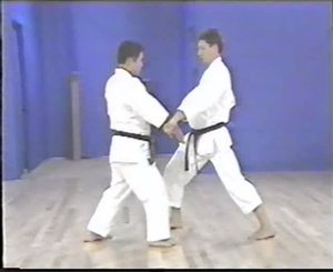 Ката Гекисайдай-ни