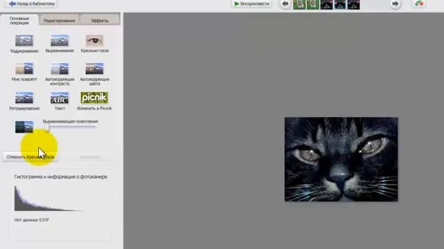Редактор фотографий Picasa