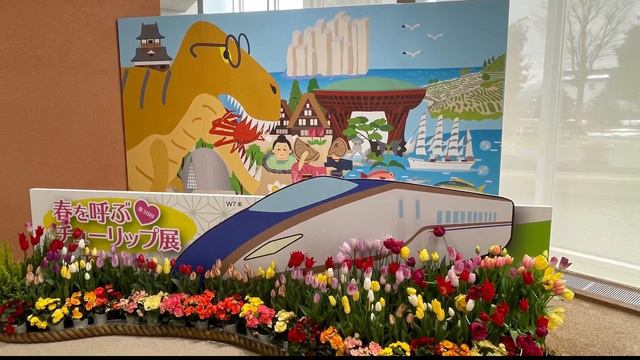岡本真夜さんの「そのままの君でいて」を弾き語りしてみました🌷