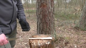 Нож MATTI Северная Корона. Уличный тест