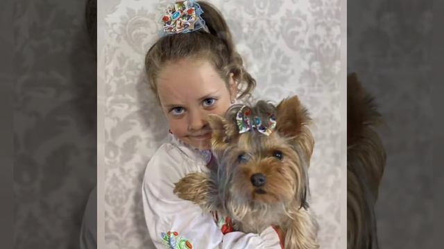 Воротнички для собак. смотреть онлайн