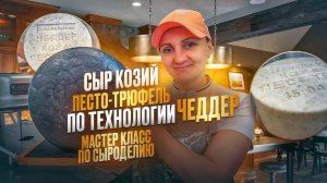 Сыр чеддер где купить ? / Фирменные сыры от Сыроварни Елисеевых / Чеддер с добавкой Песто-Трюфель