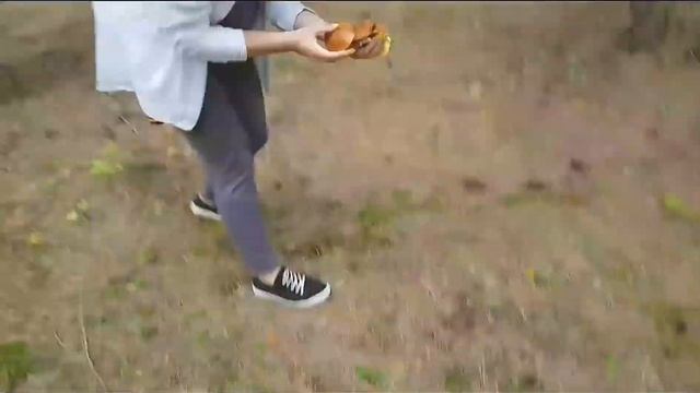 Грибники level100500 смотреть онлайн