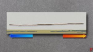 21.  Структура магнитного поля катушек с током в различных плоскостях.    Заметки о магнитостатике.