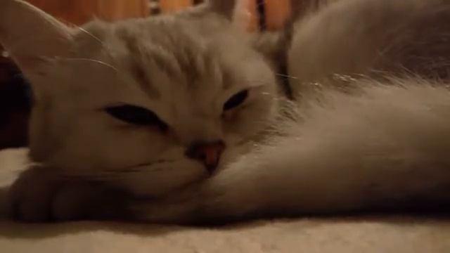 Пополнить МТС. Как это сделать? смотреть онлайн