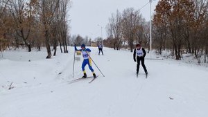 Как катят лыжи Фишер в ТЕПЛУЮ погоду!!! И правда, что это лучшие беговые лыжи для конькового хода!?