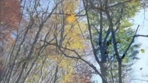 "Осень" К.Бальмонт
