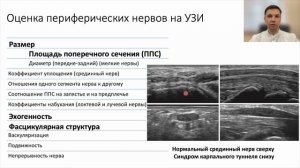 ОСНОВЫ УЗИ НЕРВОВ