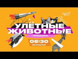 Рекламный блок ЧЕ 25.05.2024